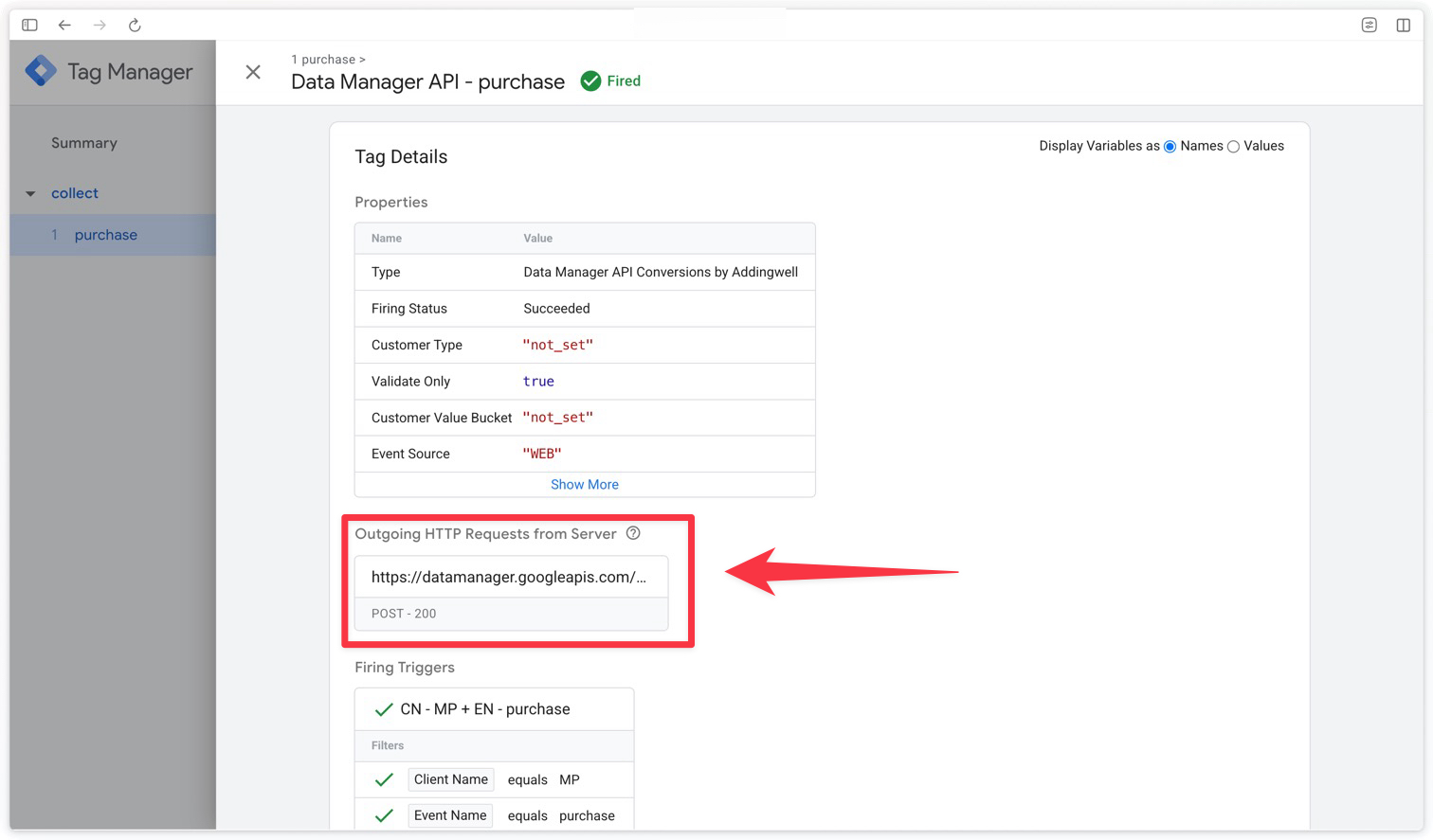 Request sent to Data Manager API in the GTM Server preview