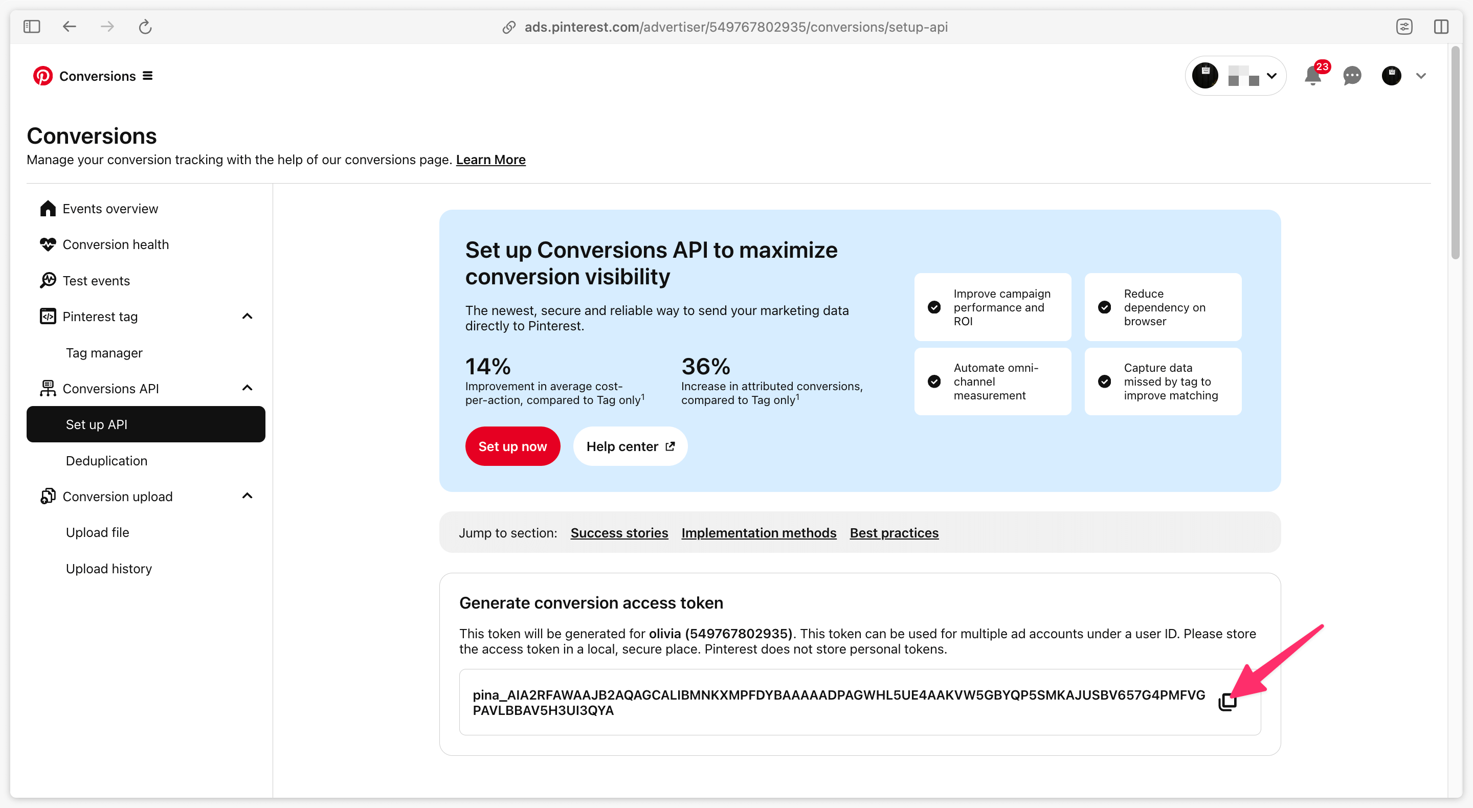 Retrieve the Pinterest CAPI Access Token