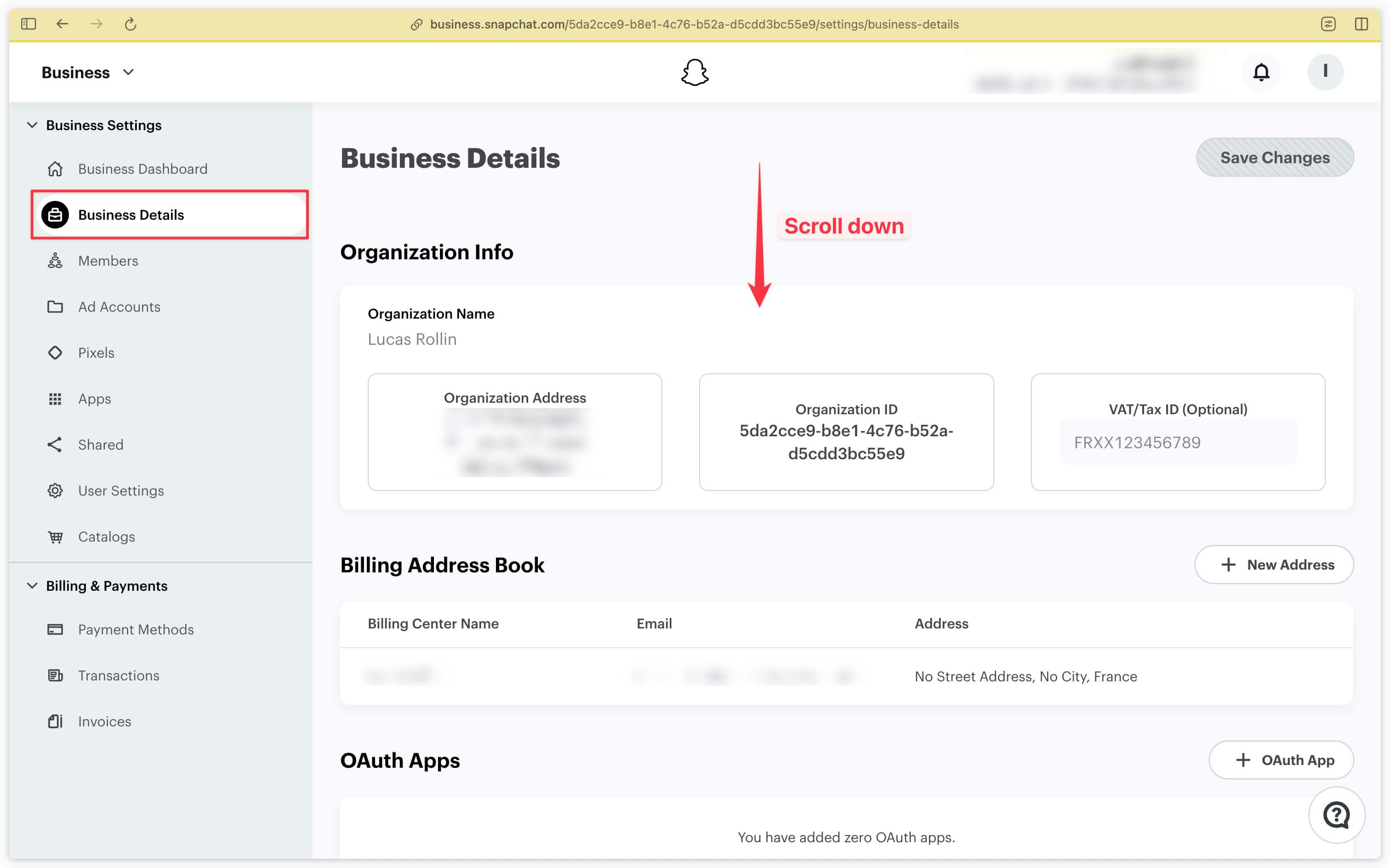 Business details section in Business Manager Snapchat